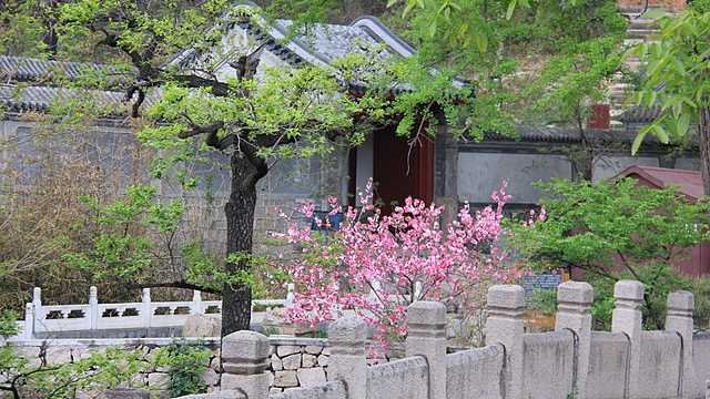 President of Pro-Government National Buddhist Association Sacked for Sexual Abuse