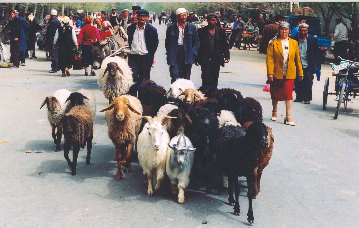 Anti-Muslim Repression Expands Outside Xinjiang