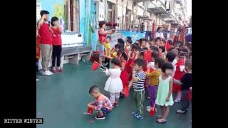 中国の愛国教育：学校教育か教化か？