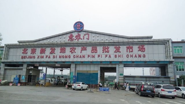 Coronavirus in Beijing—The CCP Blames European Salmon