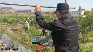 After Forced Demolitions, Farmers Left with No Means to Survive