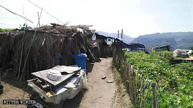 30人以上の高齢者が暮らす竹小屋のひとつ。