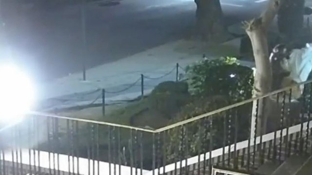 Video surveillance of the Forest Hills attack. From Twitter.