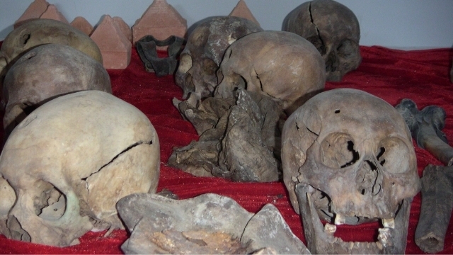 A horrific picture Massimo Introvigne took in the Memorial Museum of the Victims of Political Repression in Ulaanbaatar. Skulls were recovered from mass graves of Buddhist monks killed by the Communist regime.