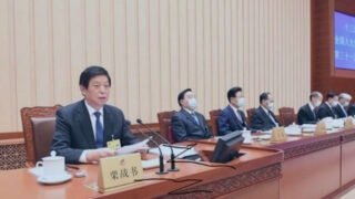 Xi Jinping’s “Democracy”: No Multi-Party Elections, No Independent Judiciary