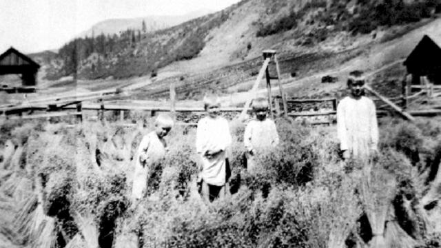 Doukhobor children in Grand Forks, British Columbia, 1920. Source: Doukhobor Heritage.