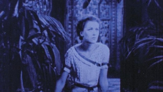 Joseph Cornell, from “Rose Hobart” (1936).