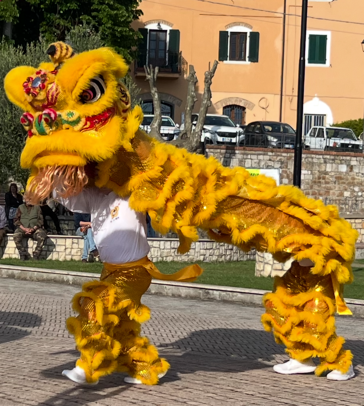 A small version of the Tai Ji Men dragon in Castellina Marittima, Italy, May 8, 2024.