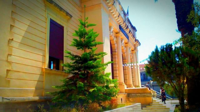 The Justice Court of Tirzi Ouzou. Credits. 