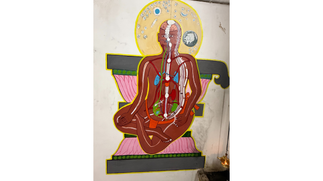 The human body and the chakras according to Sabhapati, diagram in the meditation hall. Photo by Massimo Introvigne.