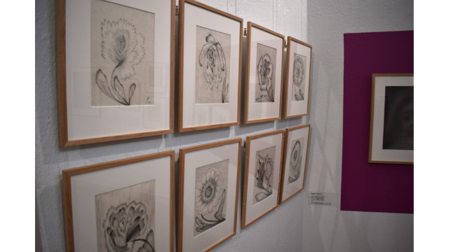 Ionowa’s “soul flowers,” drawings depicting the seven-year cycles of Selma Mäkelä’s life.