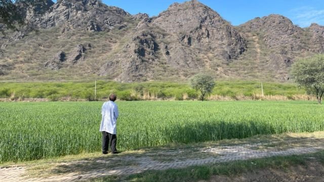 The Kirana Hills (Black Mountain).