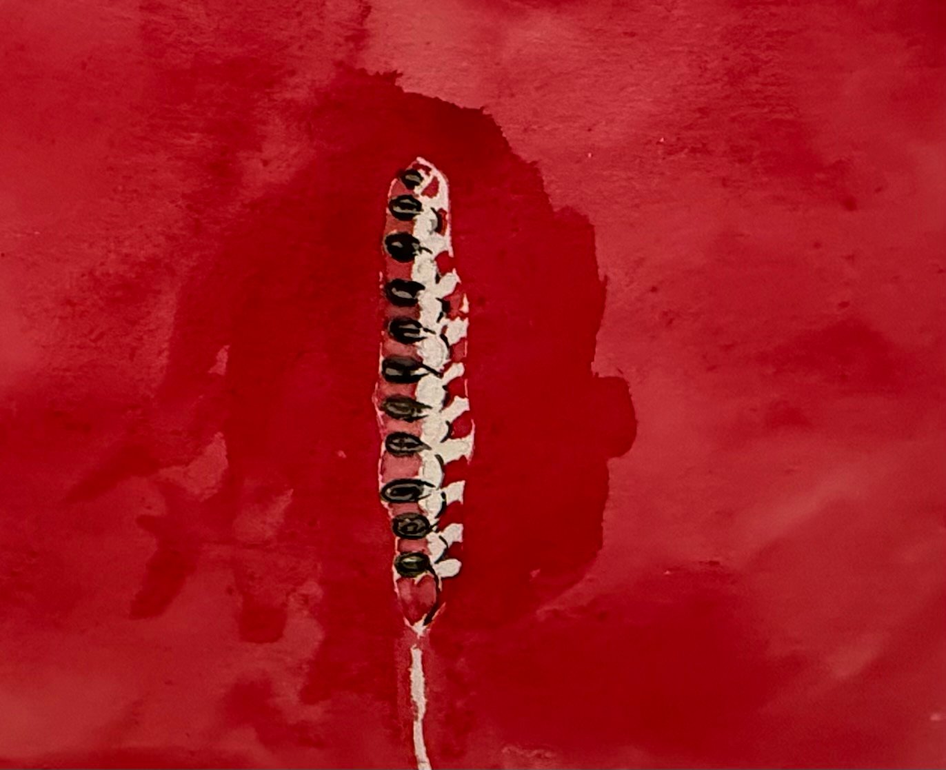 Hilma af Klint, “On the Viewing of Flowers and Trees: Ear of Grain,” 1922.