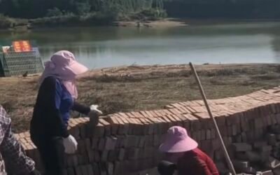 Rice Against Riot Shields: Places of Worship Bulldozed in Southern China