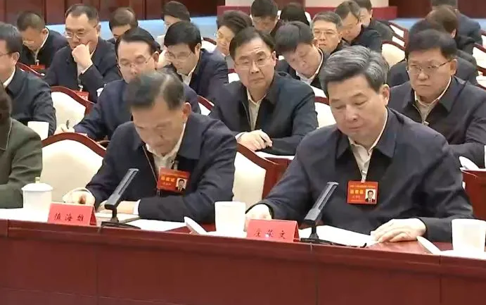 A view of the symposium. Screenshot.