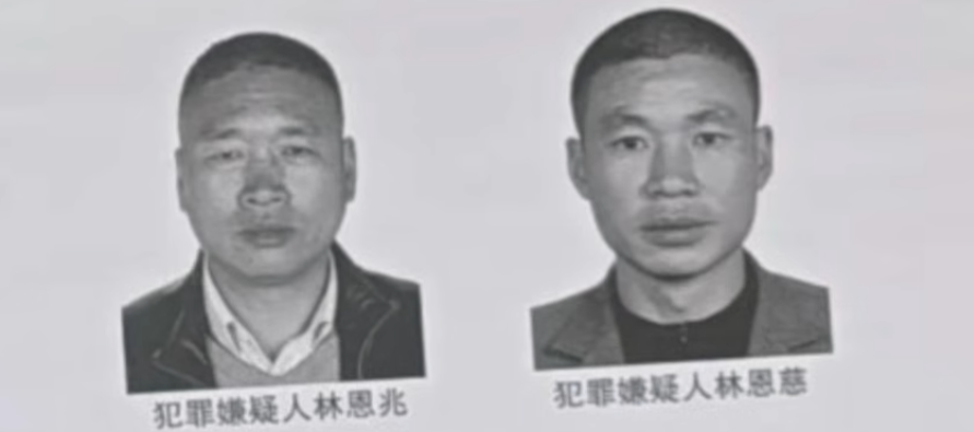 Wanted notice for Lin Enzhao and Lin Enchi.