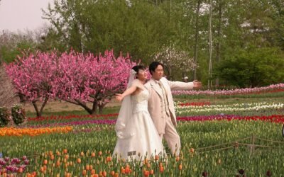 China’s Reported Marriage Surge: A Turning Point or a Mirage of Reform?