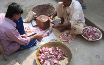 Pakistan: Mandatory Halal Certification Raises New Concerns About Discrimination