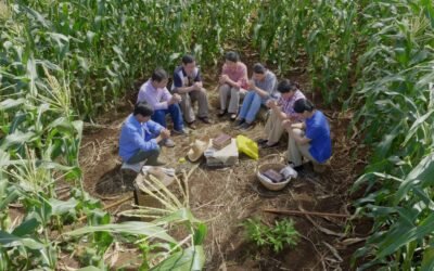 Zero-Out Campaign: The Ordeal of The Church of Almighty God Members in Shandong