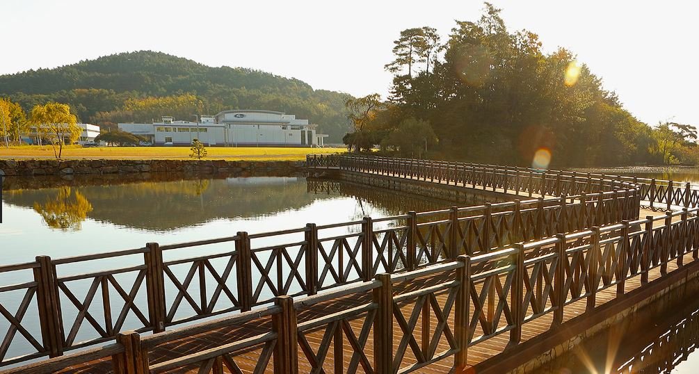 An image of the Shinangchon community. Source: Shinangchon community.