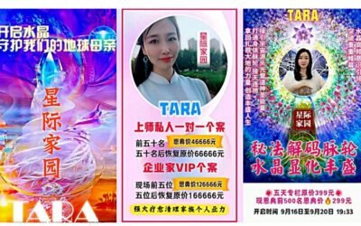 China&rsquo;s Crackdown on Gaia Earth Core: Consumer Protection or Authoritarian Control?