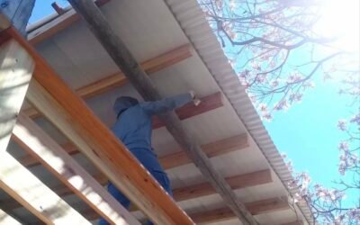 Argentina y la arquitectura de la sospecha. 3. La traducci&oacute;n penal de lo cotidiano.