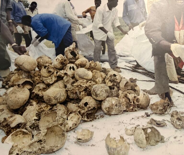 Gross Human Rights Violations: From Rwanda to Taiwan