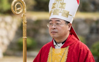 Catholic Training in Beijing Centered on Xi Jinping, Not the Pope’s Magisterium