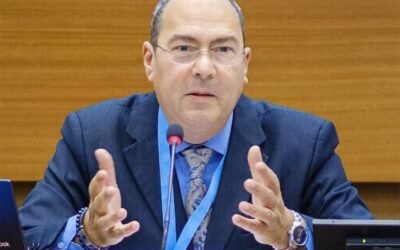 The Price of Belief: Misuse of Taxes, the Two Covenants, and the Tai Ji Men Case at the UN Human Rights Council&mdash;Again