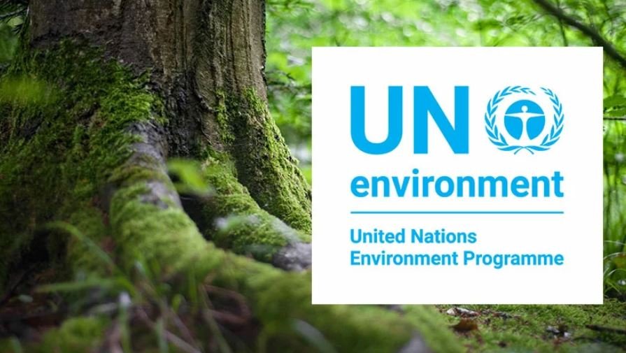 United Nations poster for an environmental sustainability event.