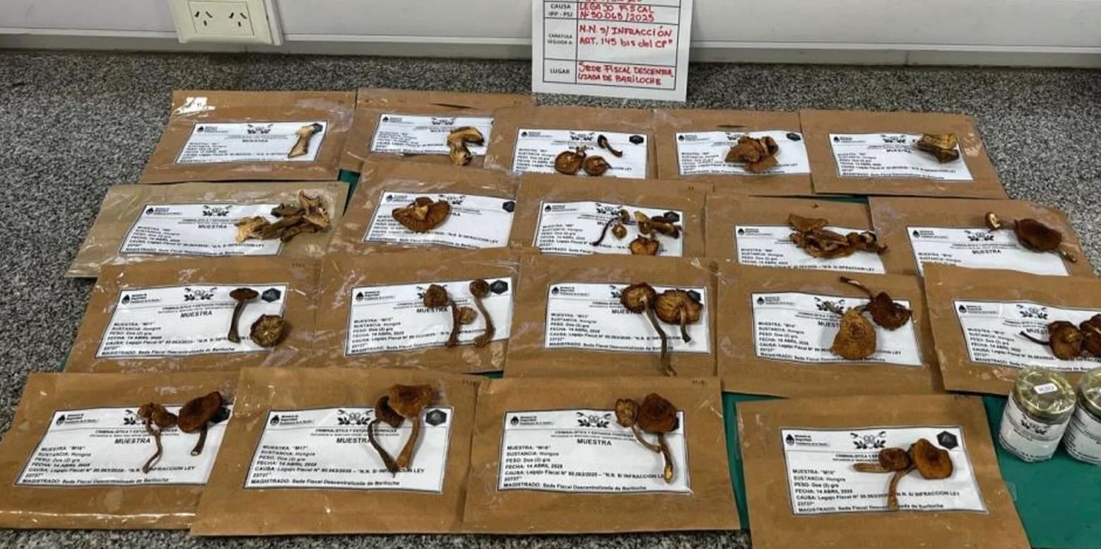 The police seized dried mushrooms, which the forensic analysis identified as not hallucinogenic and used for cooking. Source: Argentina’s National Police.