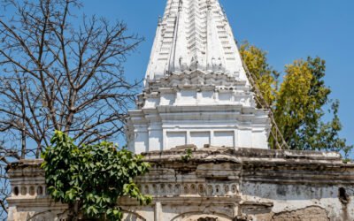 Pakistan: Questions Persist After Destruction of Narowal Hindu Temple