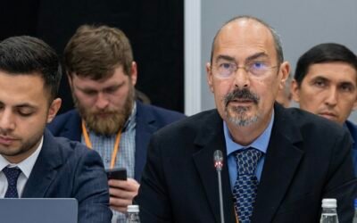 Imported Suspicion: What the Rudnev Filing at the OSCE Asks of Prosecutors and Courts