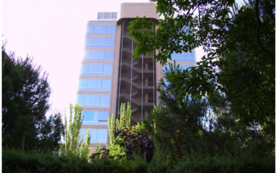 Jehovah’s Witnesses in Spain: One Won, One Lost on Appeal